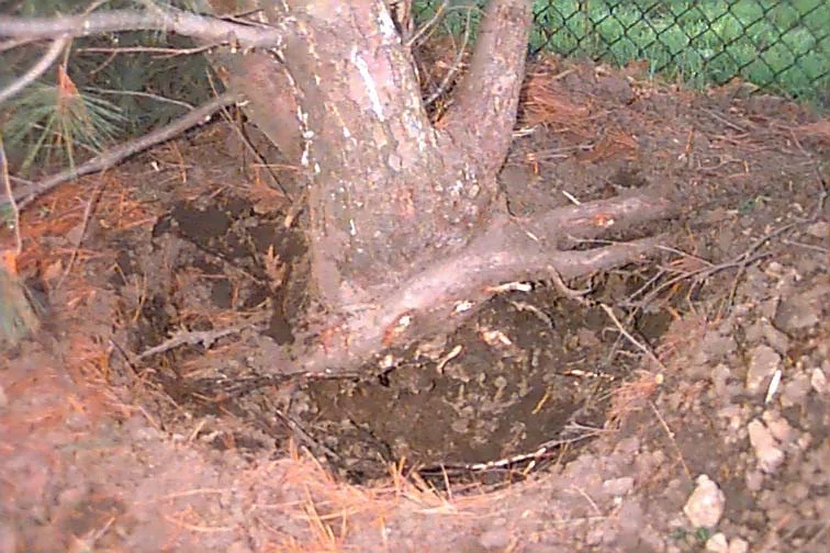 tomography — photo 19