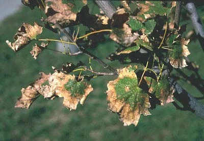 Water Stress — photo 36