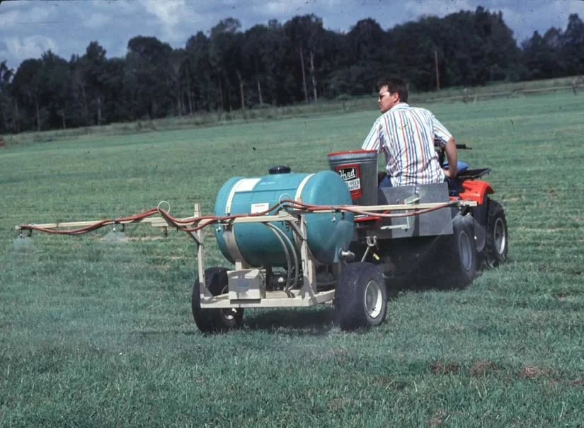 Impact of Fire Ants — photo 15