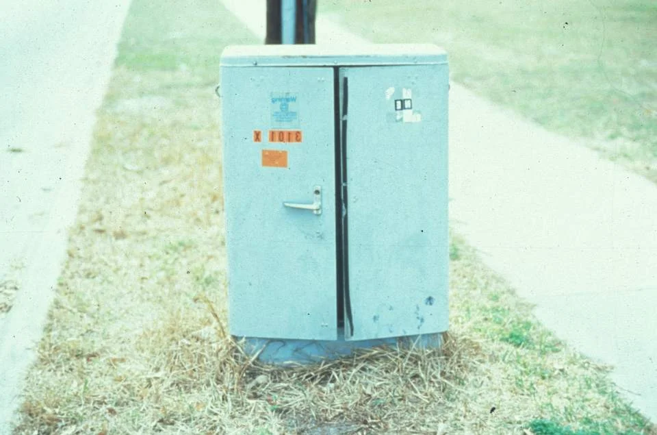 Impact of Fire Ants — photo 21