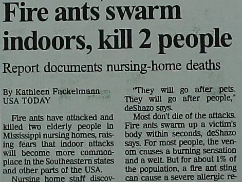 Impact of Fire Ants — photo 3