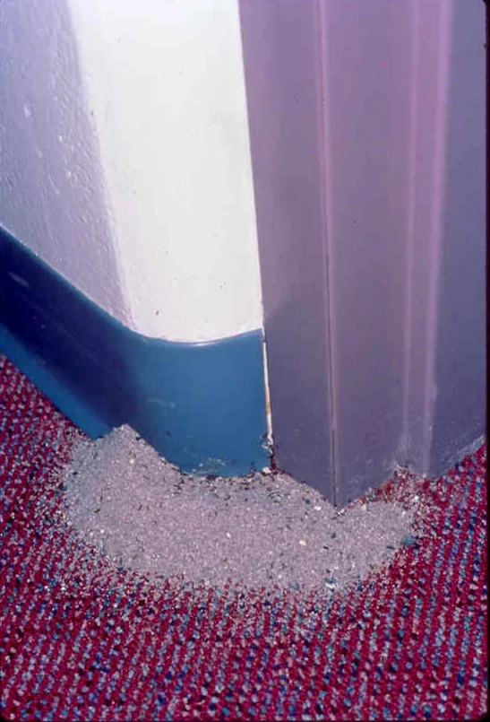 Impact of Fire Ants — photo 5