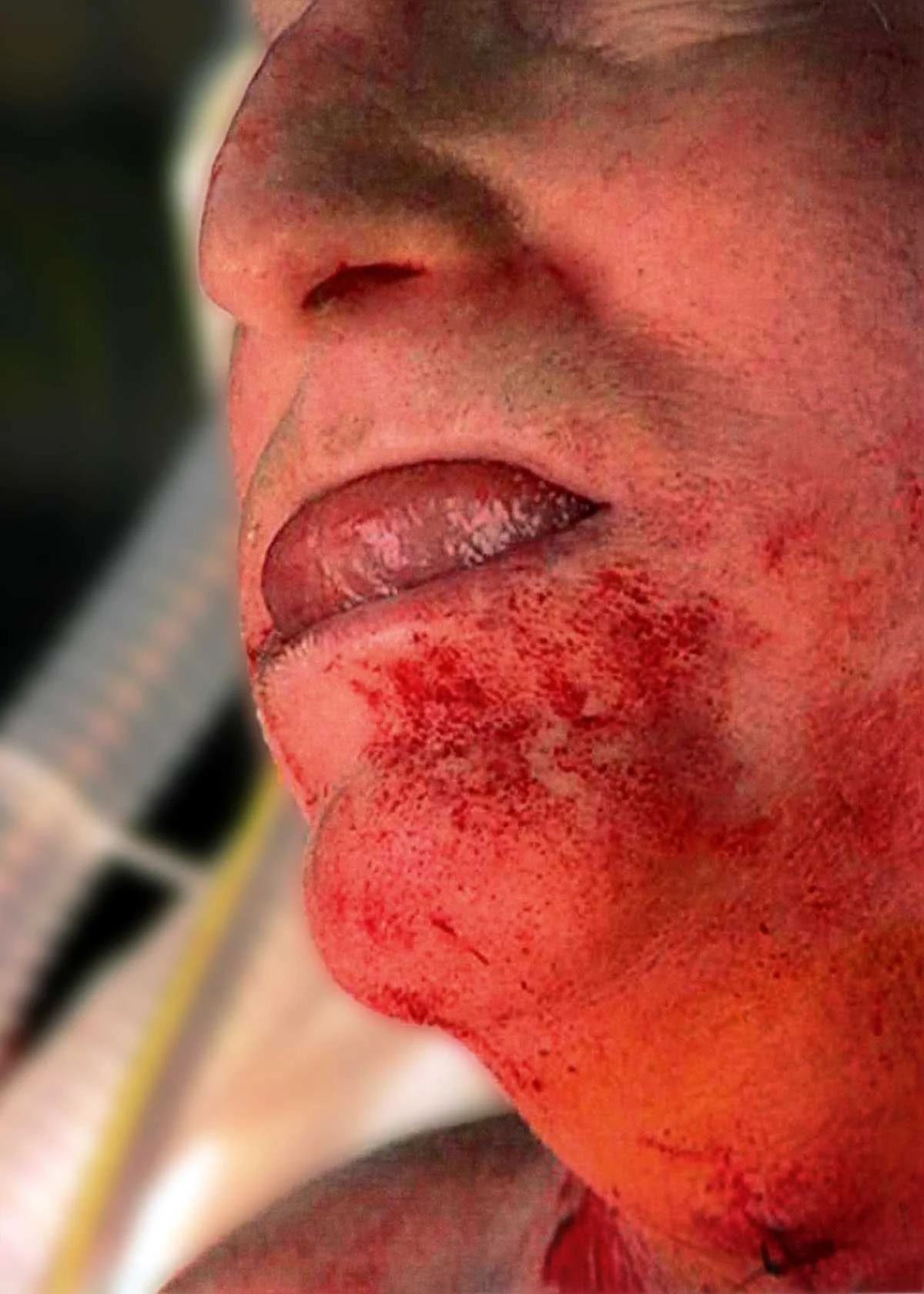 Impact of Fire Ants — photo 6