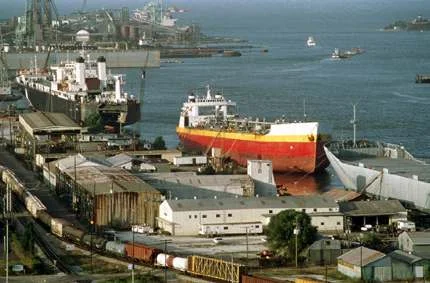 Introductions of Imported Fire Ants — photo 5