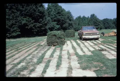 Sod Farm () in Middle Tennessee