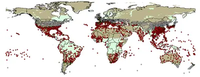 Solenopsis () in Middle Tennessee
