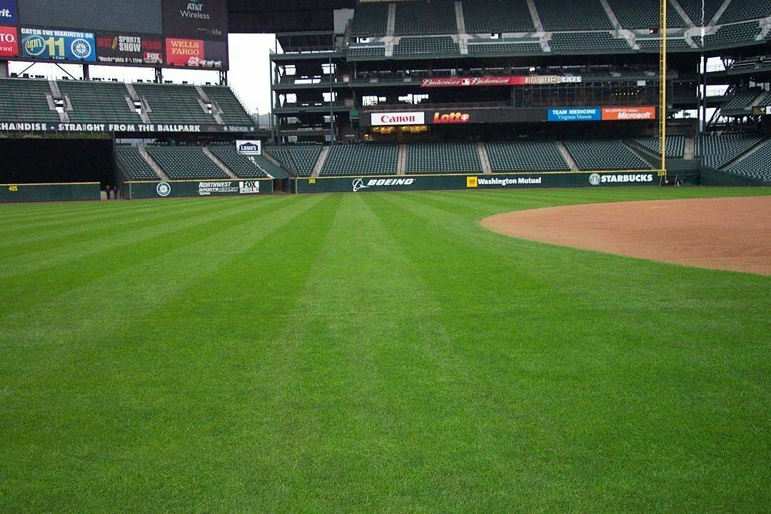 Dimension* — photo 2