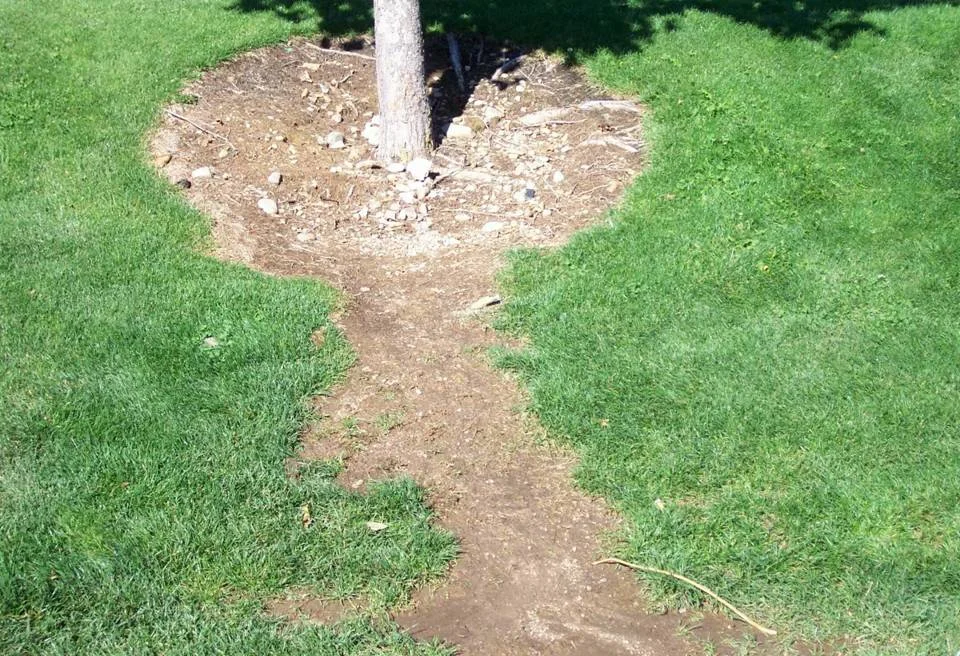 What Happened here?? — photo 2