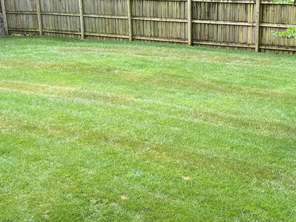 Herbicide Damage — photo 2