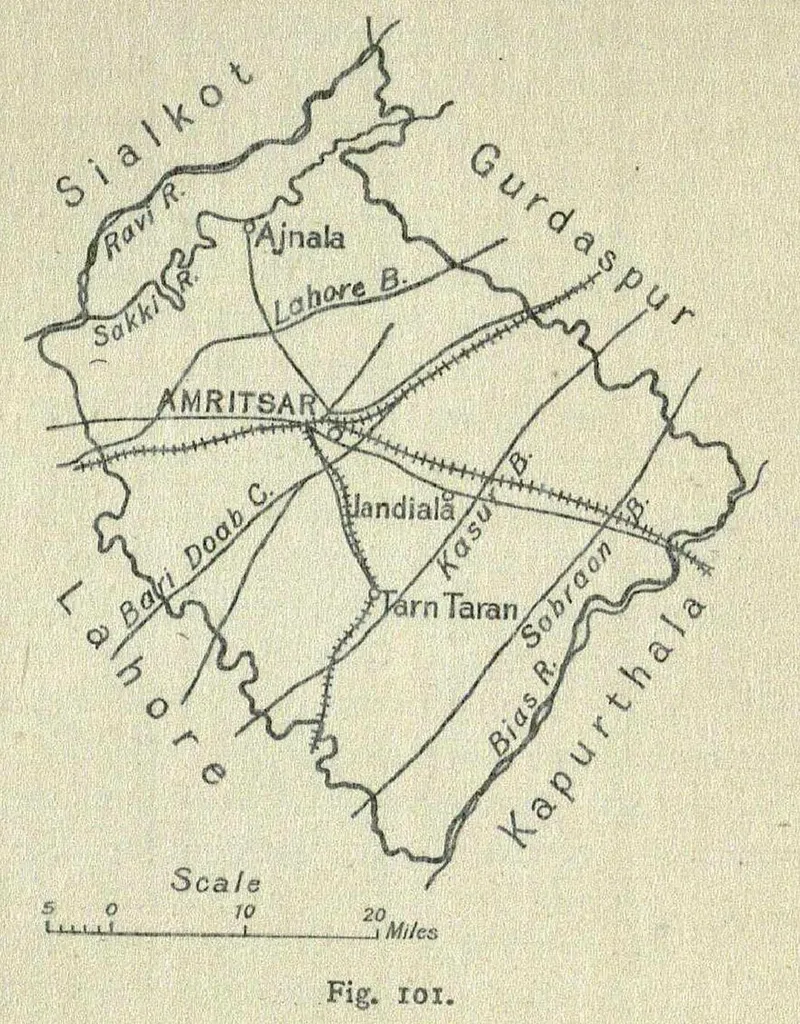 poor drainage/waterlogging (N/A) — abiotic disorder in Middle Tennessee