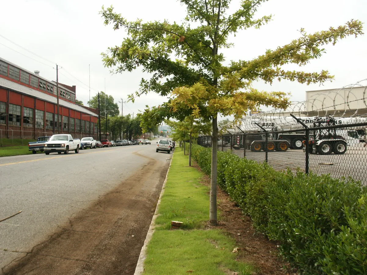 Observation — photo 3