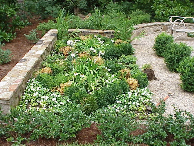 Observation — photo 4