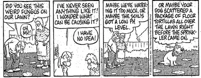 Diagnosis Can Be Tricky Without All The Facts disease in Middle Tennessee