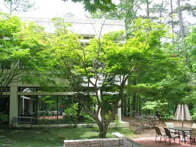 What’s Wrong? disease in Middle Tennessee