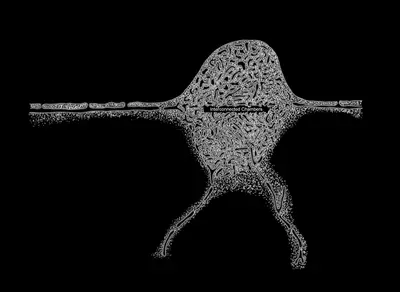 Workers () in Middle Tennessee