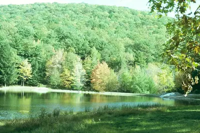 Fleas & Ticks (Parasites associated with animals) in Middle Tennessee