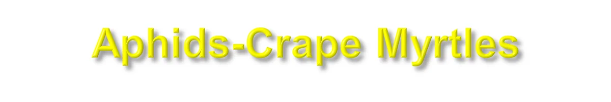 “Plant lice” — photo 5