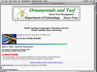 Insect (Insect notes are excellent references.) in Middle Tennessee