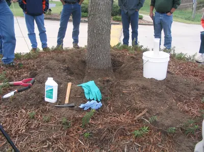 Let’s (Let’s do better than this…) in Middle Tennessee