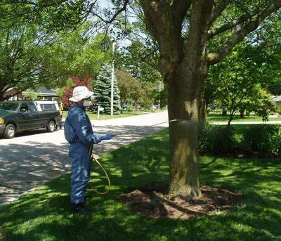 Systemic Basal Trunk Sprays () in Middle Tennessee