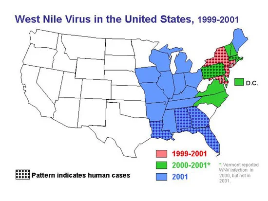 Mosquito-Borne Infections — photo 2