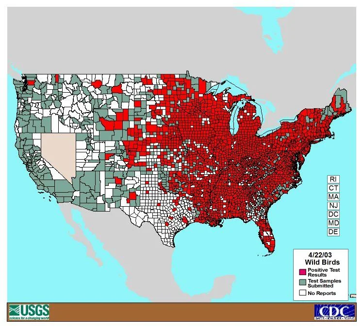 Mosquito Vectors of WNV — photo 2