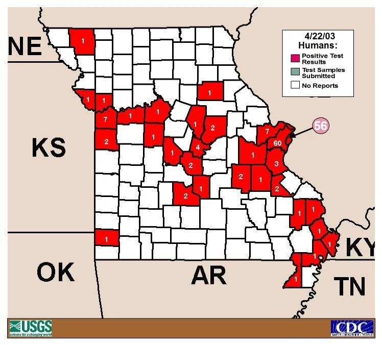 Mosquito Vectors of WNV — photo 3