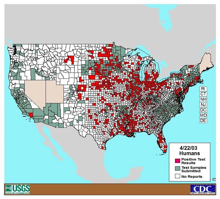 ‘Urban’ Mosquitoes — photo 2