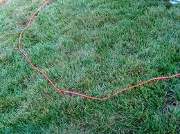 Define (Define the Area) in Middle Tennessee