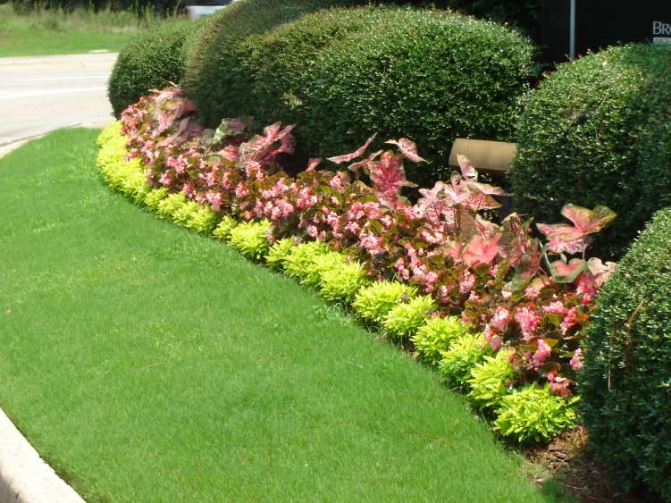 W-12”    H-8-12” — photo 2