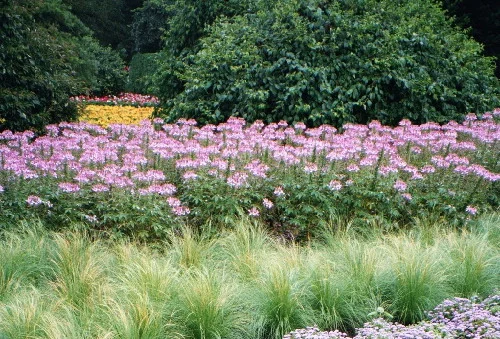 W-14-20"   H-36-48" — photo 3