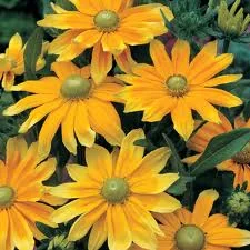 W-16”-24”  H- 16”-24” — photo 2