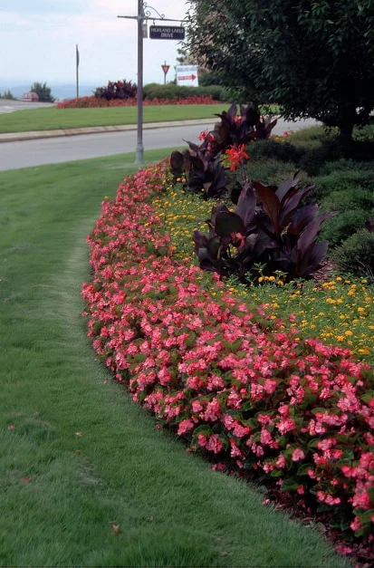 W- 8-12"        H- 12-18" — photo 2