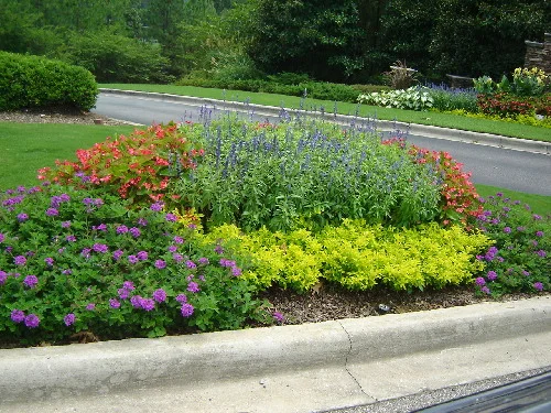 W/H 18”-24” — photo 4