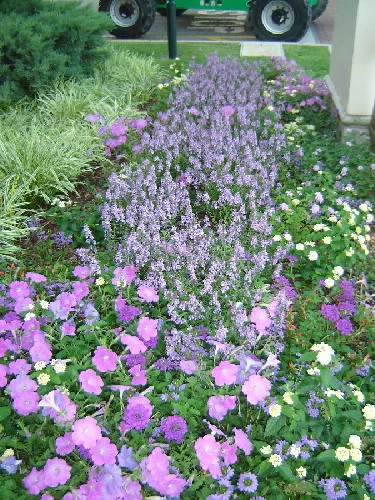 W/H 18”-24” — photo 5