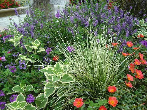 W/H 18”-24” — photo 6