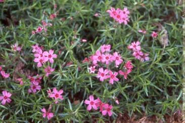 Photos: OSU — photo 2