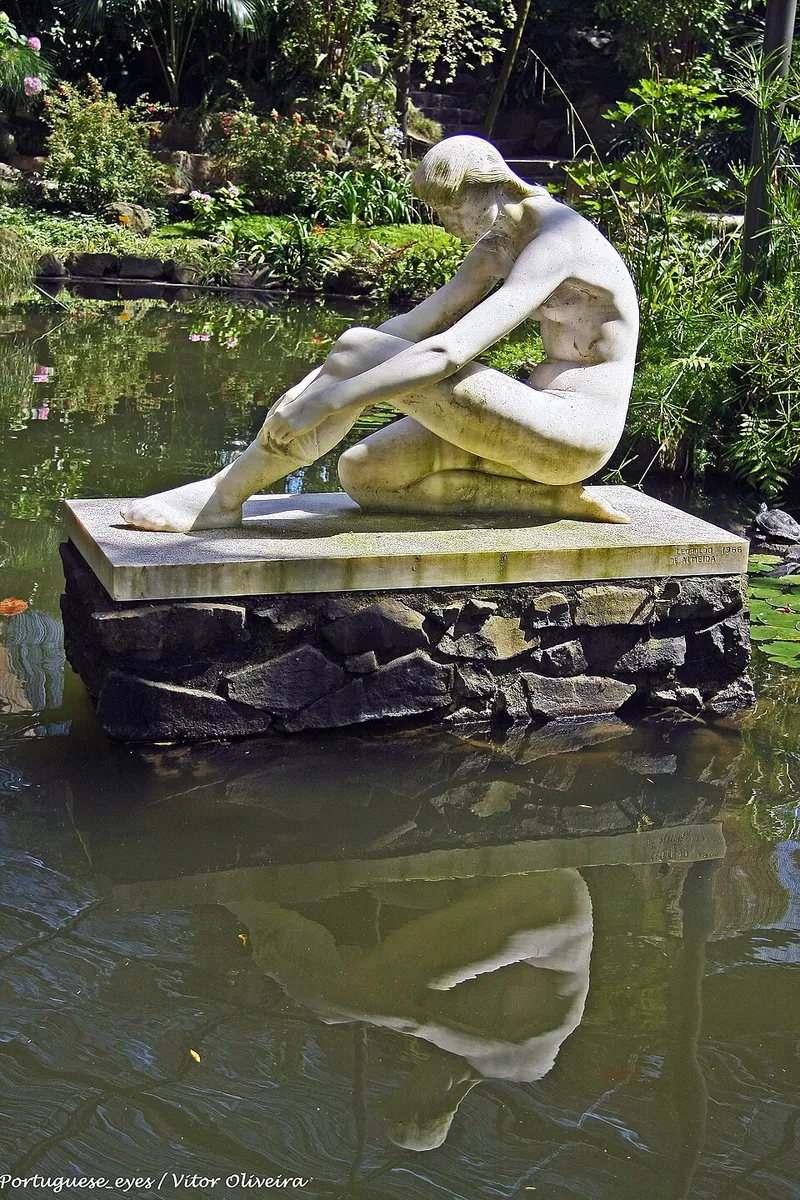 Camellia in Middle Tennessee