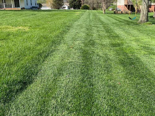 Science Based Lawn Care